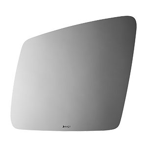 4421 Primary View